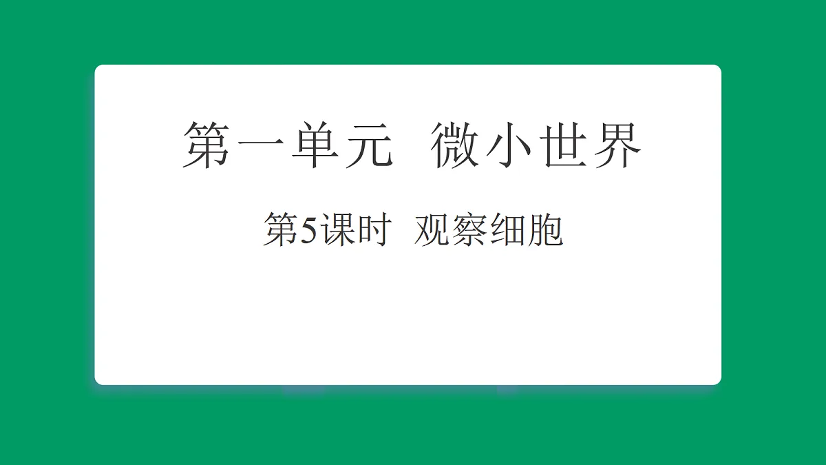 1.5 观察细胞 课堂重点知识笔记课件第1页