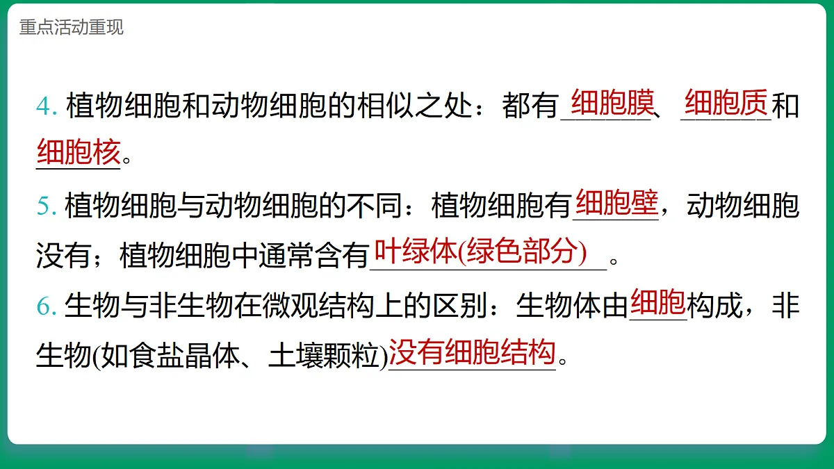 1.5 观察细胞 课堂重点知识笔记课件第3页