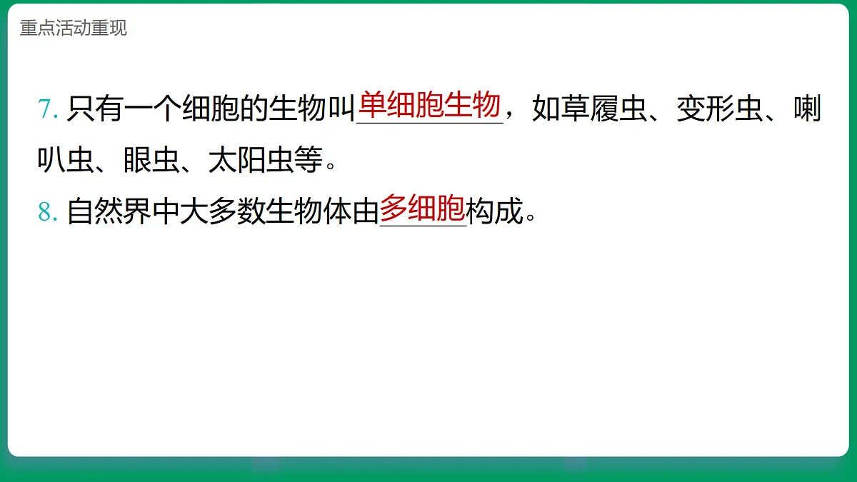 1.5 观察细胞 课堂重点知识笔记课件第4页