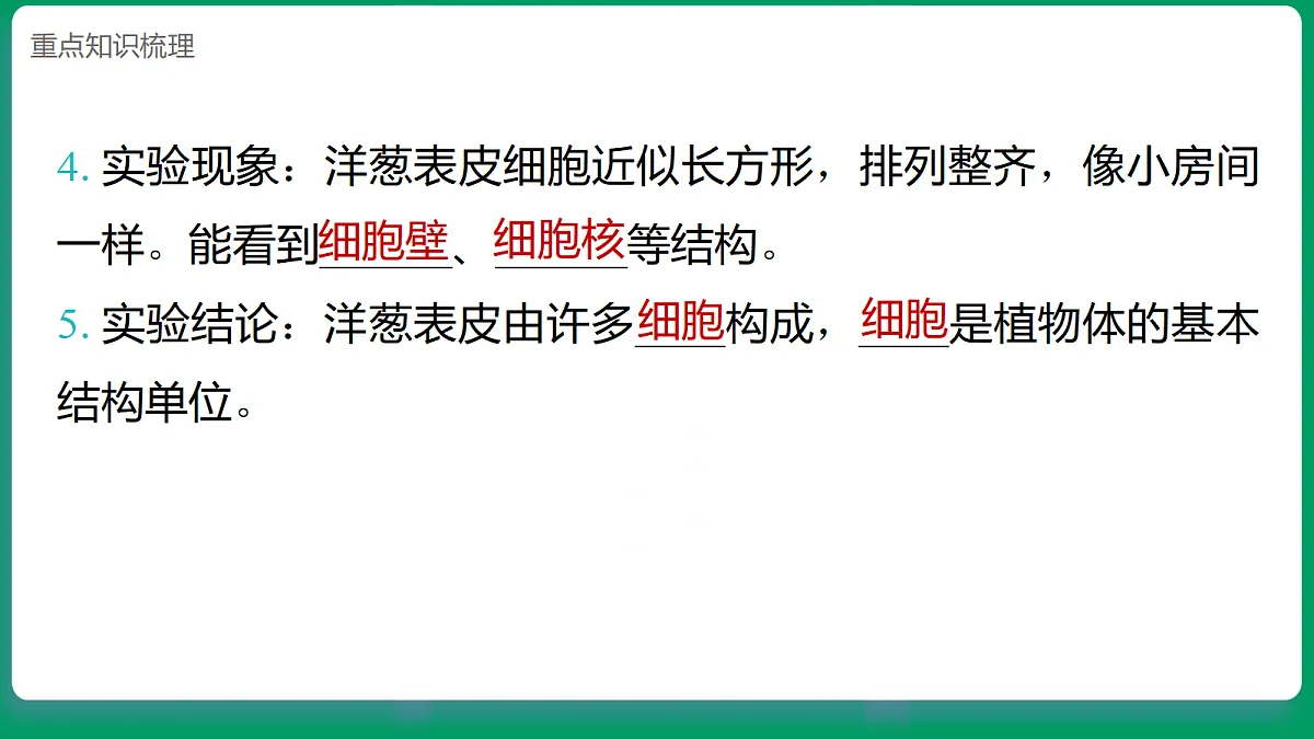 1.5 观察细胞 课堂重点知识笔记课件第7页