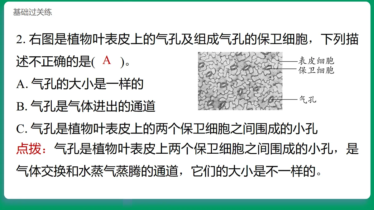 1.5观察细胞 习题课件第3页