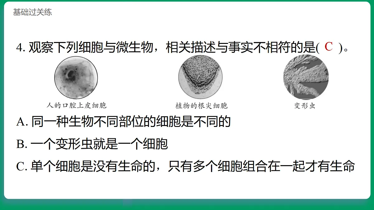 1.5观察细胞 习题课件第5页