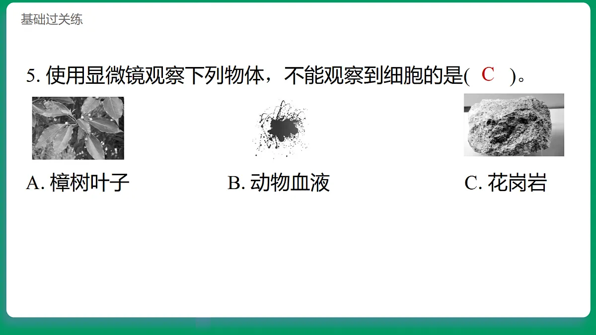 1.5观察细胞 习题课件第6页