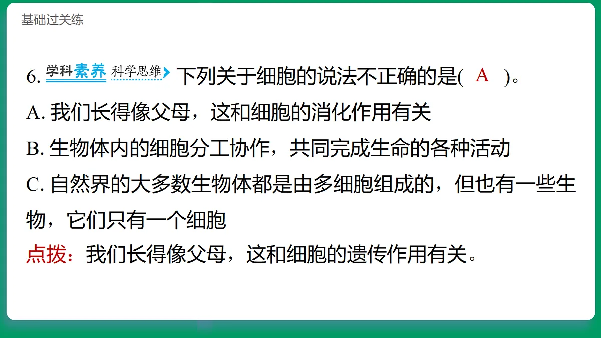 1.5观察细胞 习题课件第7页