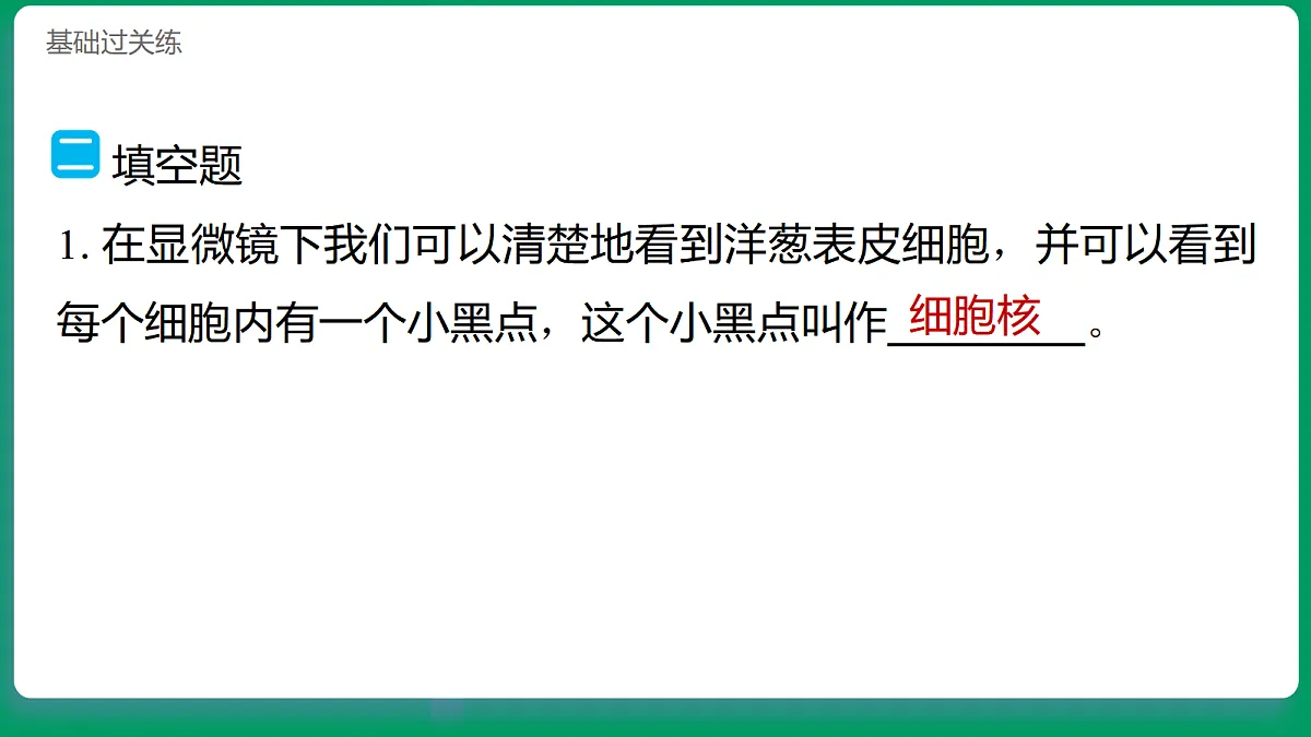 1.5观察细胞 习题课件第8页