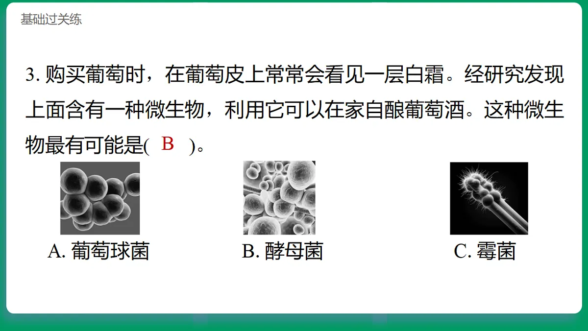 1.7 微生物与人类 习题课件第4页