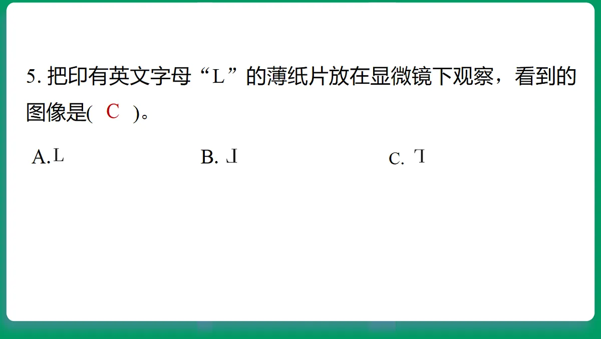 18533122第5页