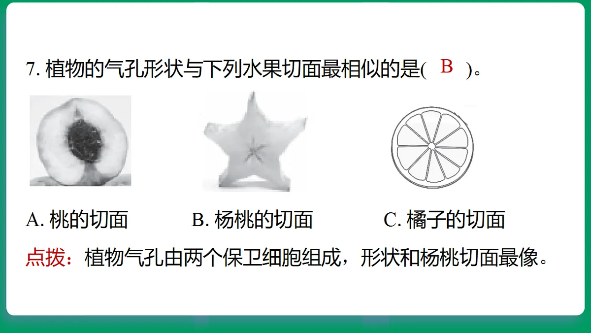 18533122第7页
