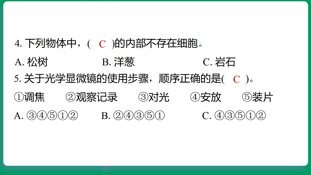 18533259第5页