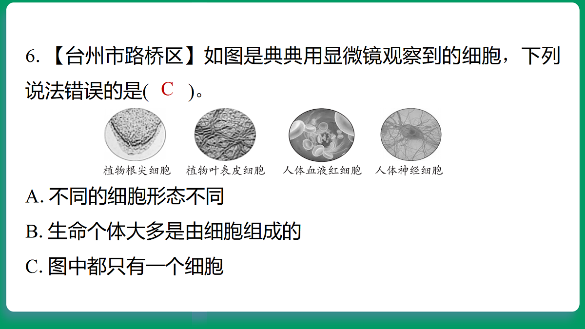 18533259第6页