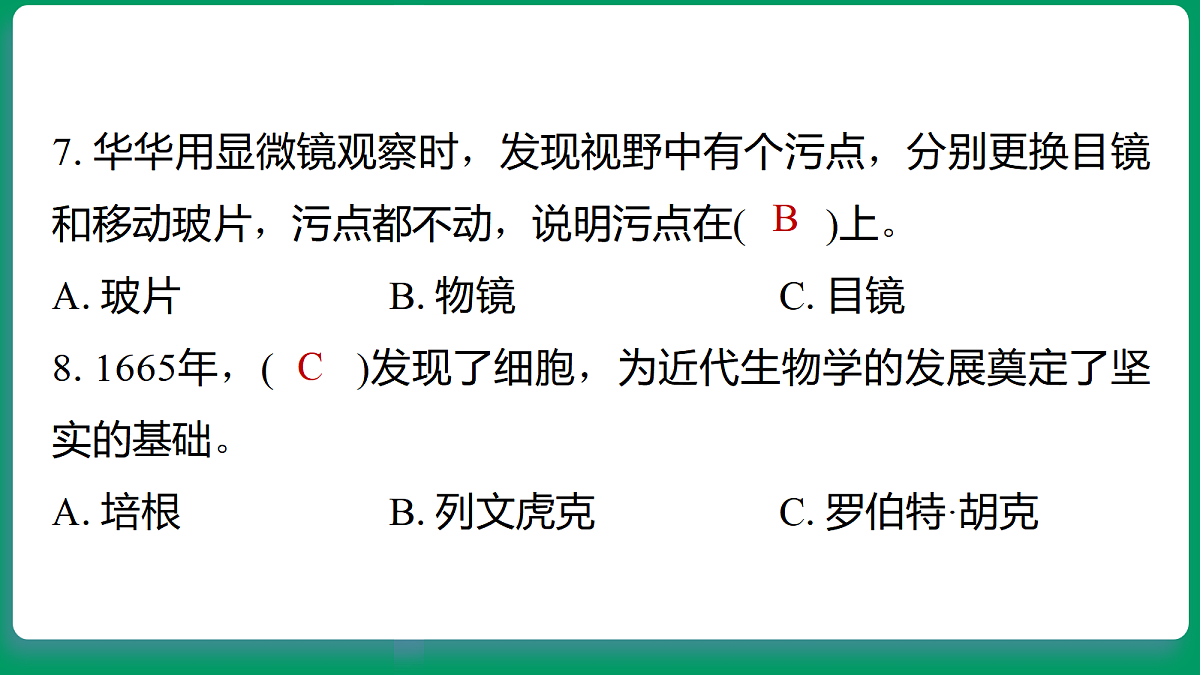 18533259第7页