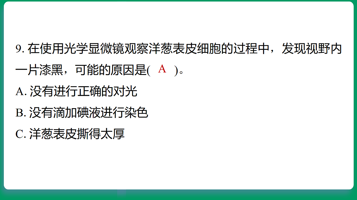 18533259第8页