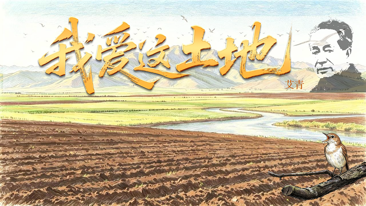 18533637第1页