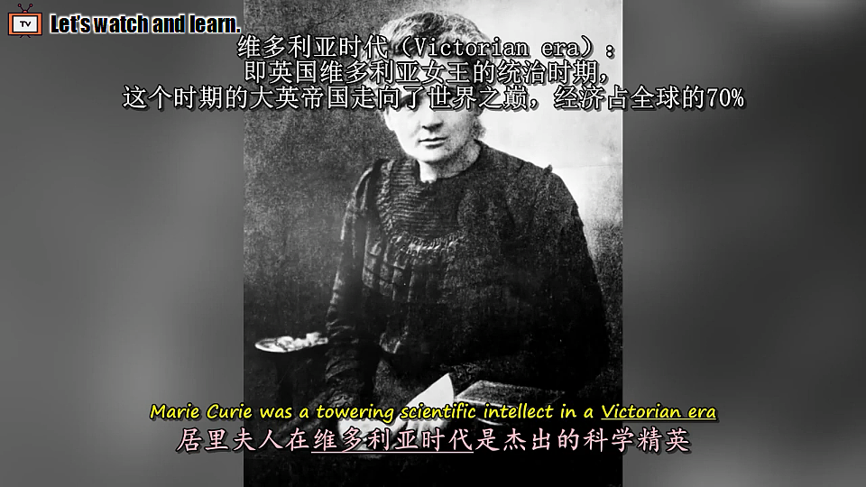 18536540第3页
