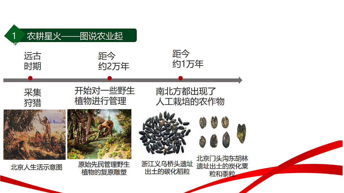 18540244第6页