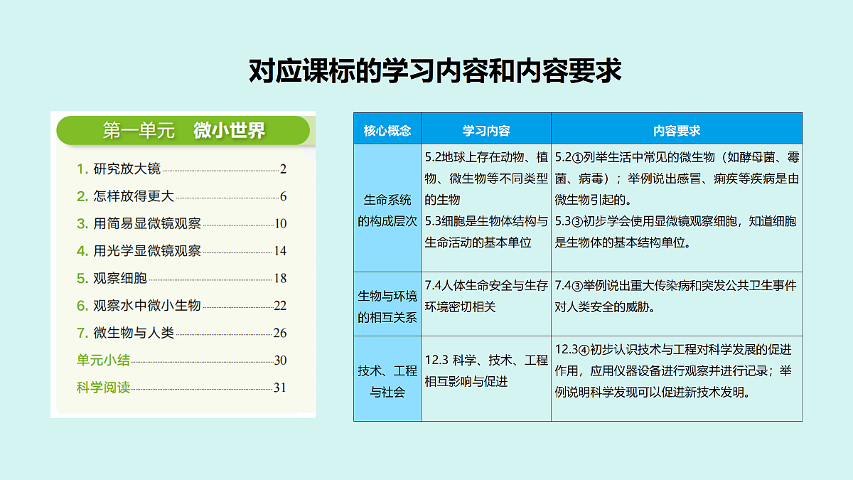 18541356第7页