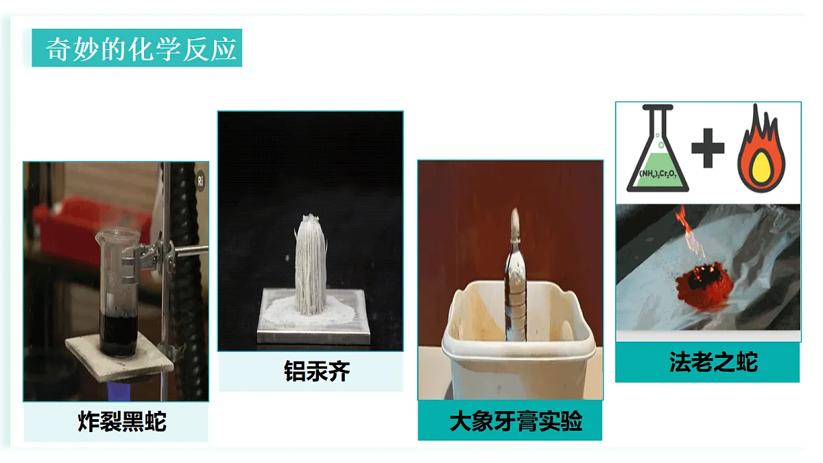 18543932第2页