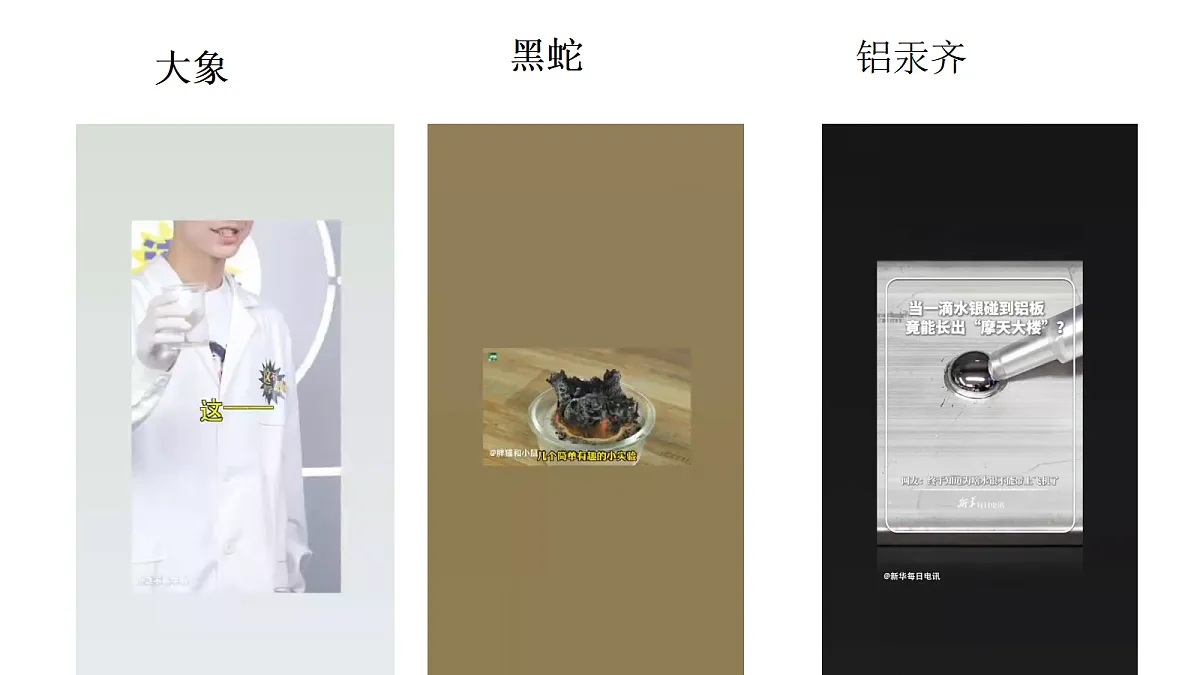 18543932第3页