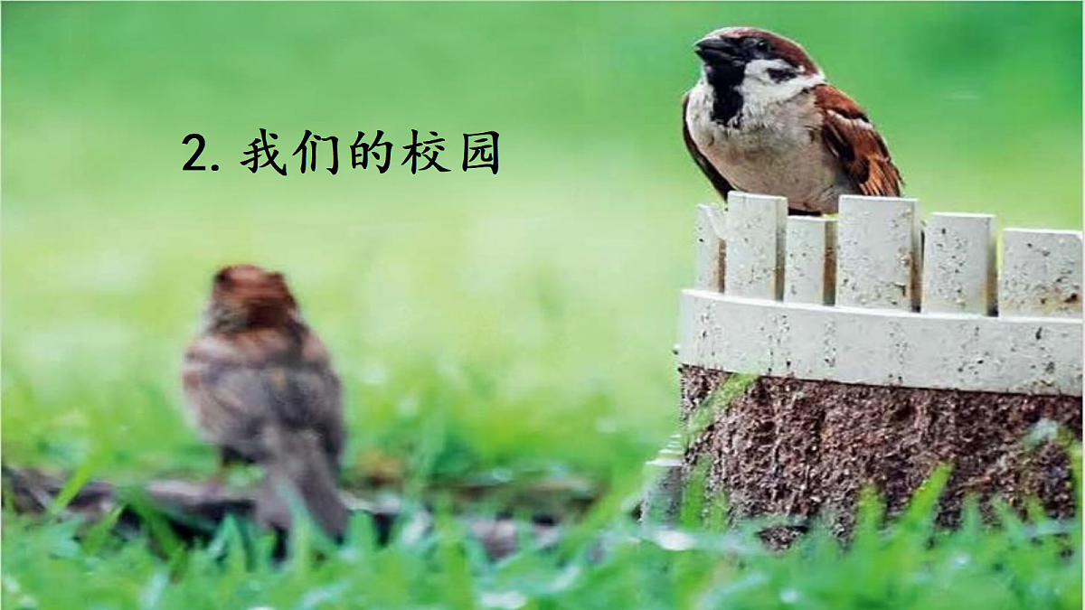 18545966第1页