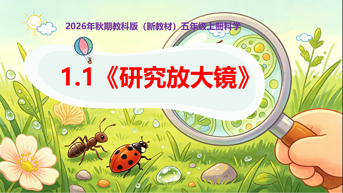 18546497第1页