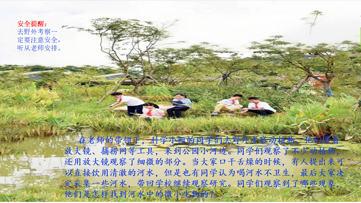 18546497第2页