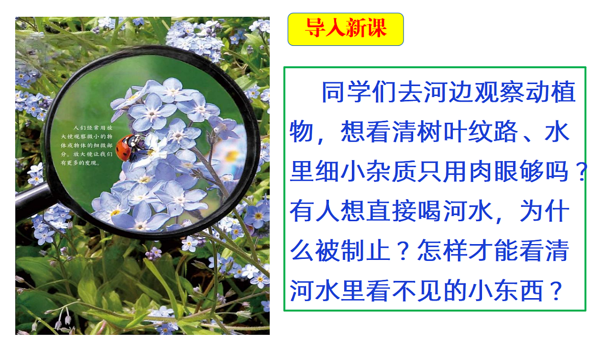 18546497第4页