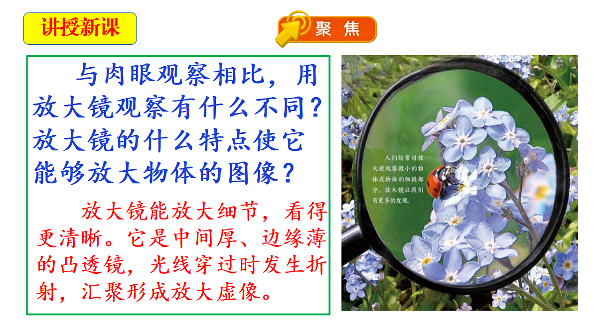 18546497第6页