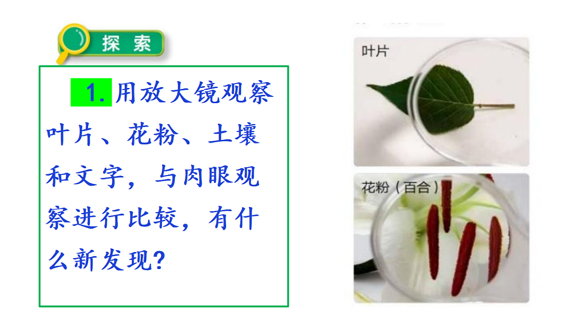 18546497第7页