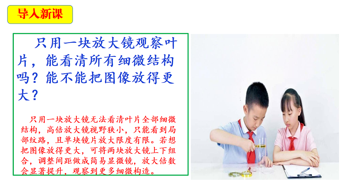 18546500第3页
