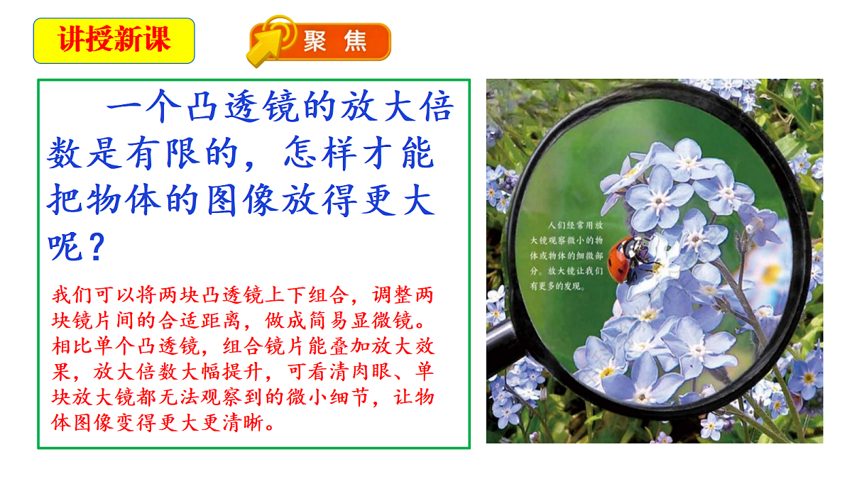 18546500第4页