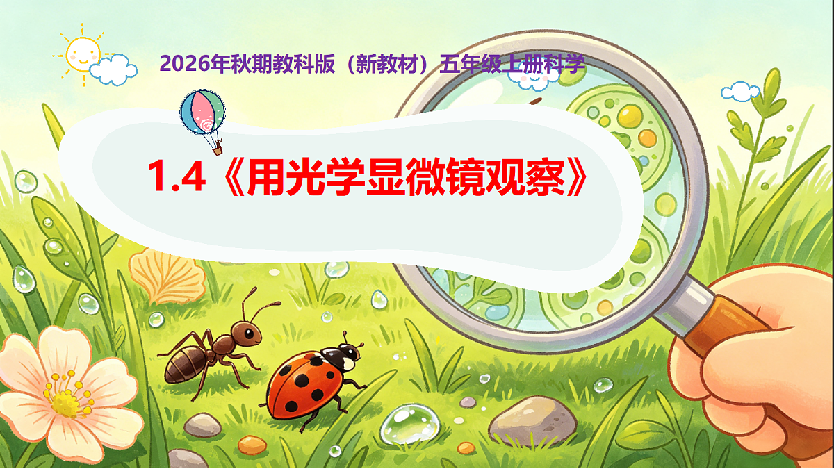 18546506第1页
