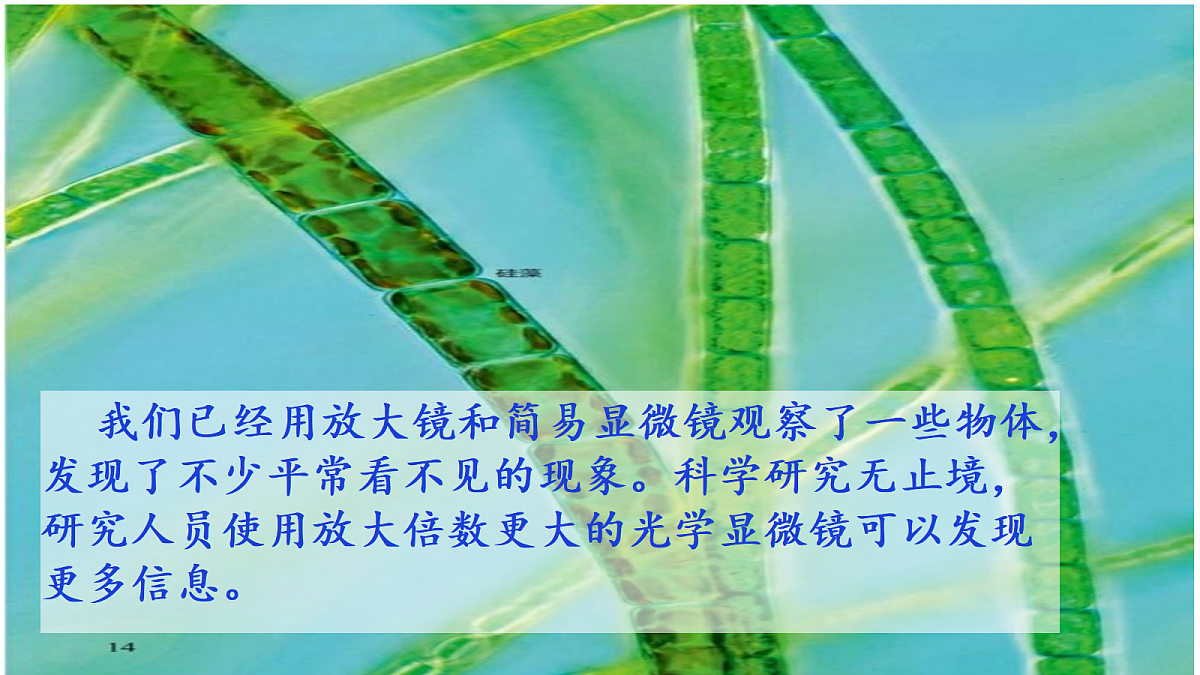 18546506第2页