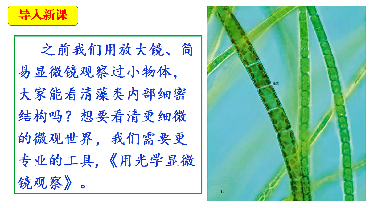 18546506第3页