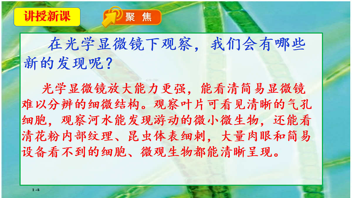 18546506第4页