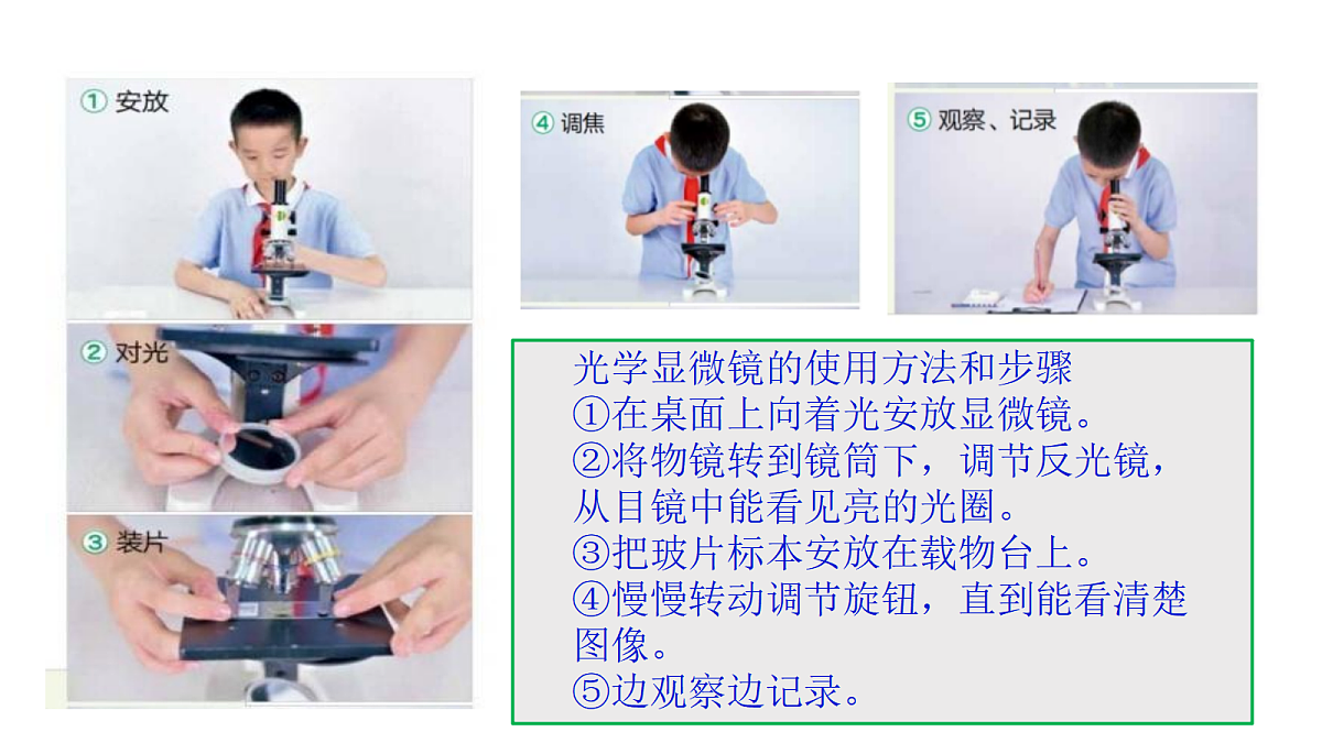 18546506第8页