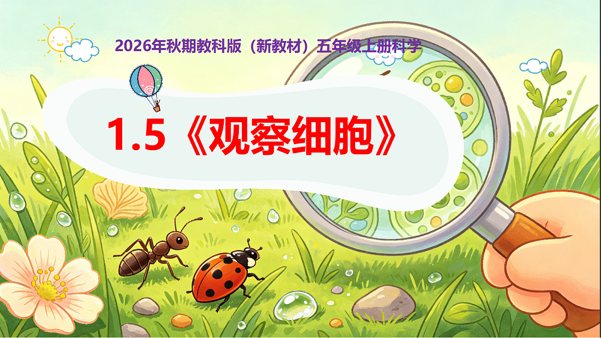 18546509第1页
