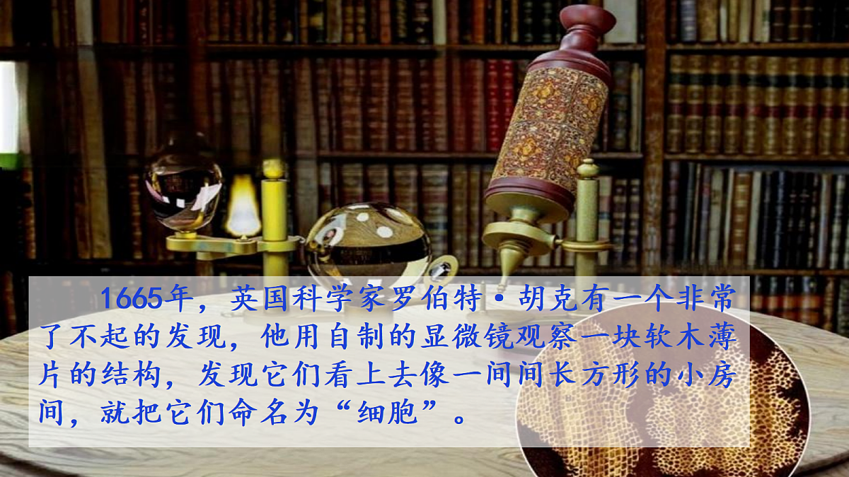 18546509第2页