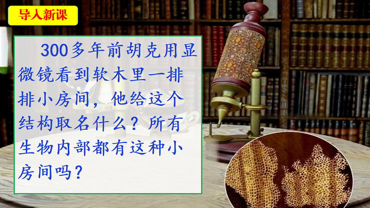 18546509第4页
