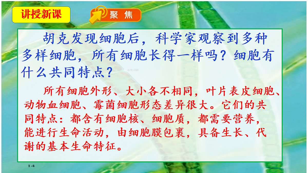 18546509第5页