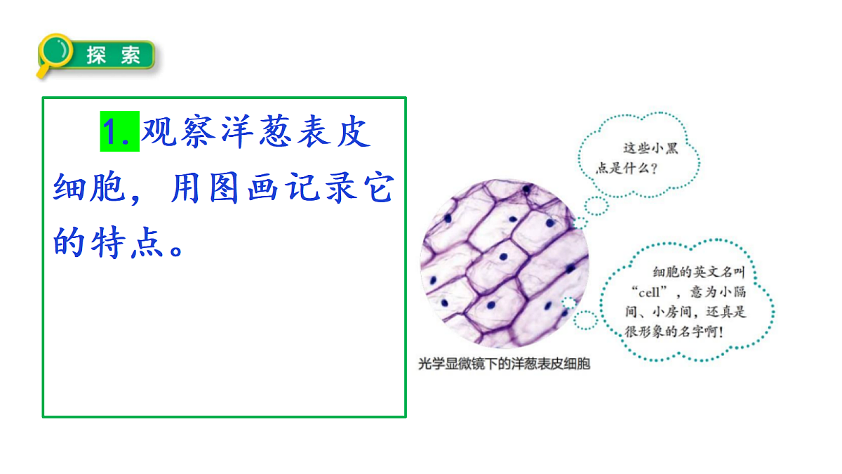 18546509第6页