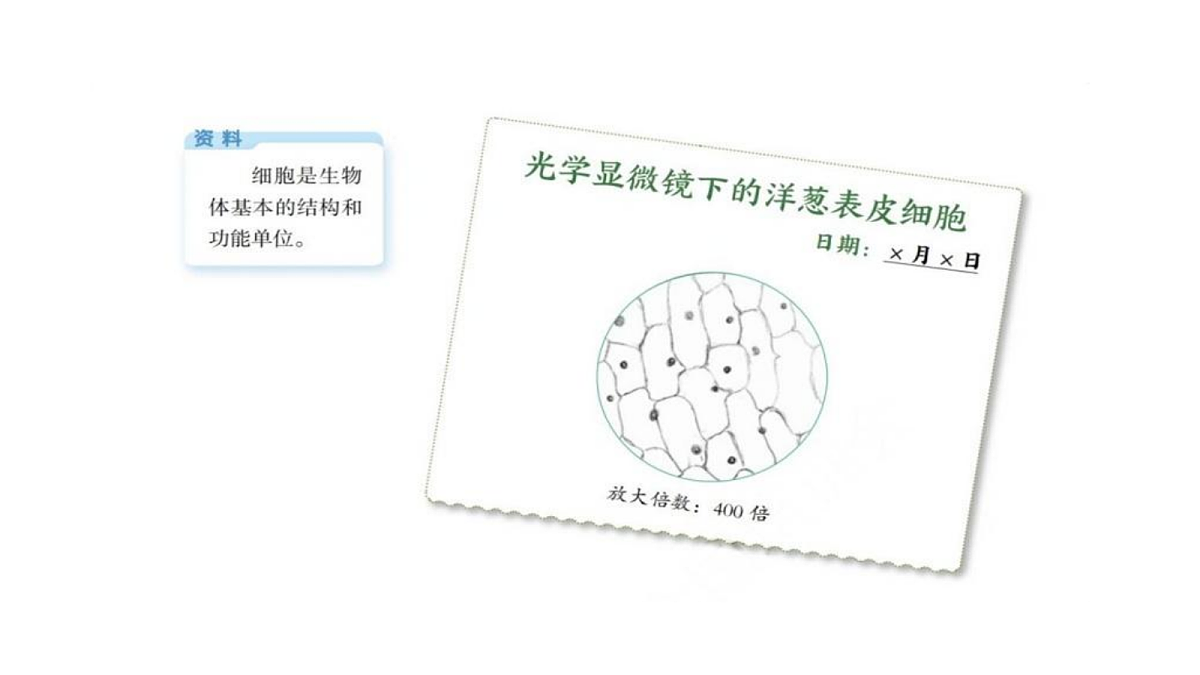 18546509第8页