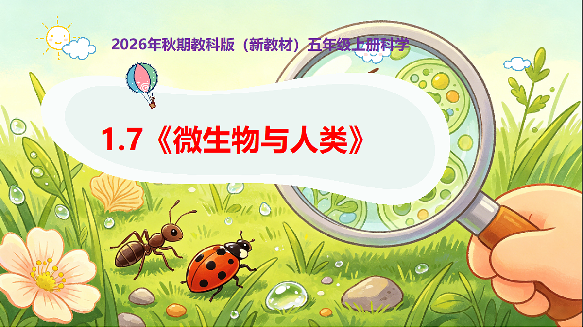 18546515第1页