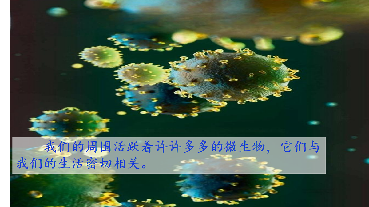 18546515第2页