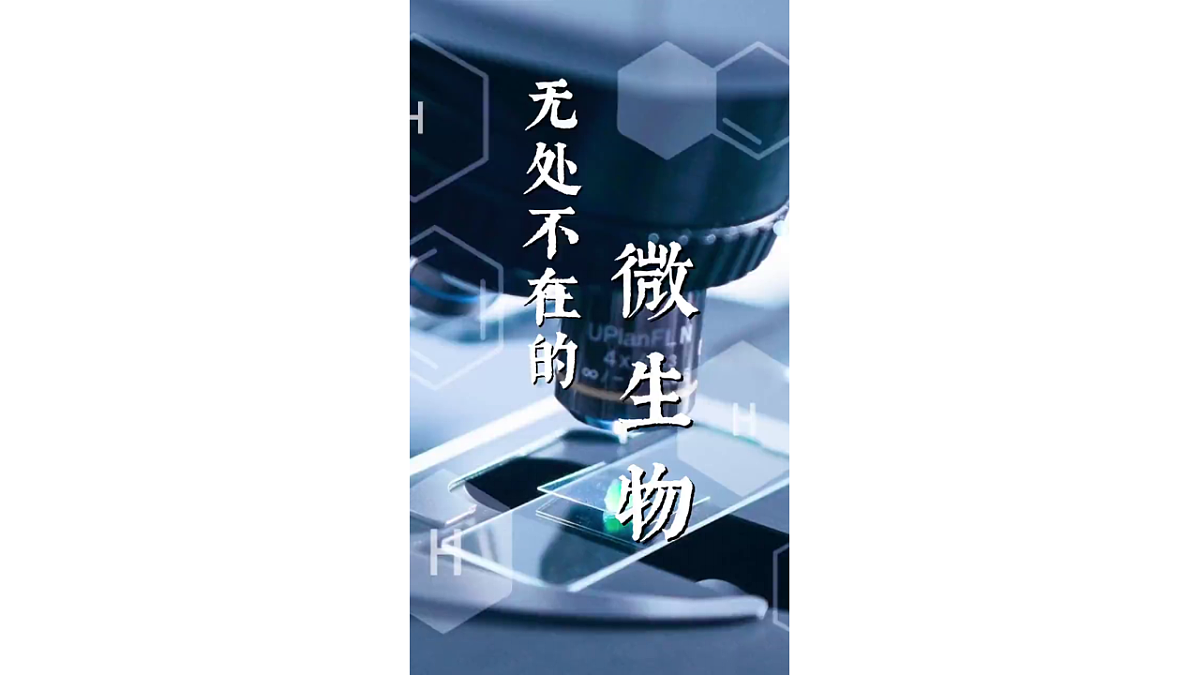18546515第3页