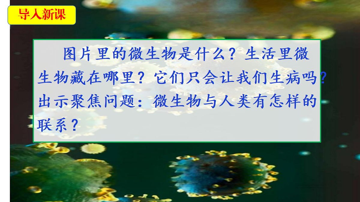 18546515第4页