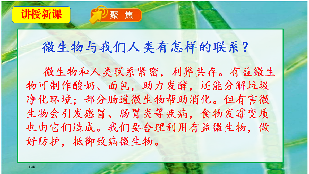 18546515第5页