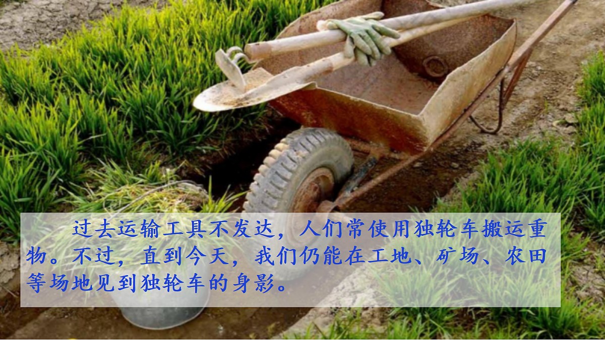 18546521第2页