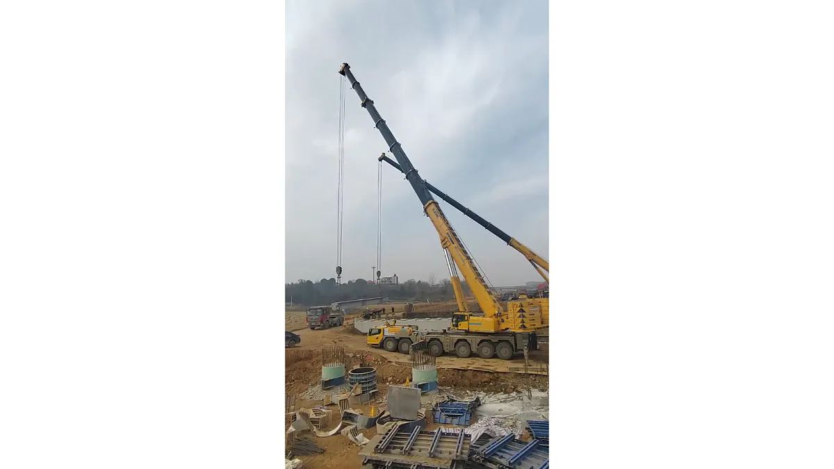 18546529第3页