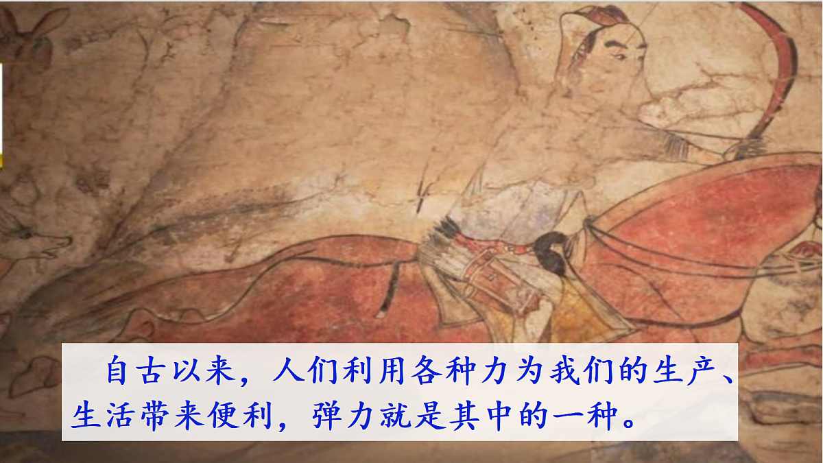 18546543第3页