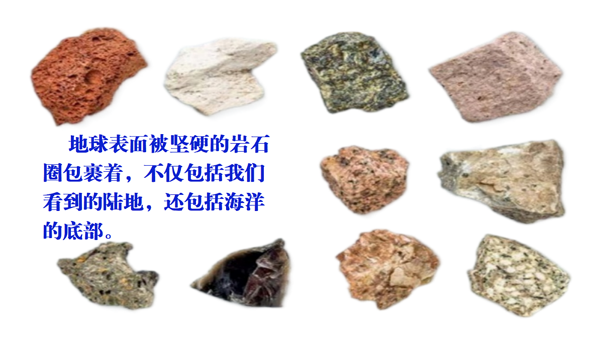18546566第3页